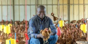 souveraineté alimentaire