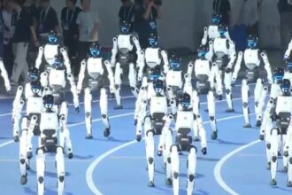 robots
