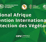 GABON