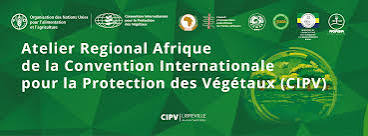 GABON