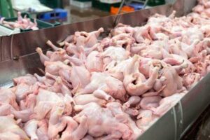 importations de poulet