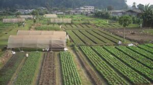 Secteur agropastoral : la restructuration au cœur des interrogations