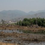 Forêt dégradée par la déforestation en Afrique centrale, dans le bassin du Congo.